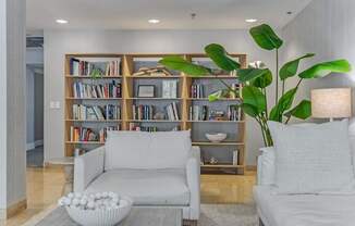 A living room with a white couch, a large bookshelf, and a large plant.