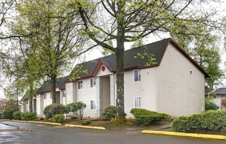801 - Mountain View