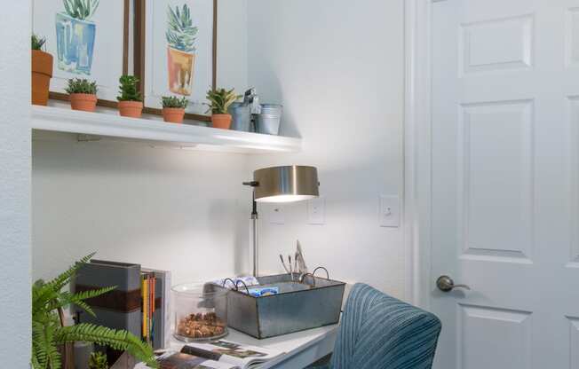 a desk with a chair and a shelf with potted plants