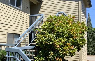 2 Bedroom Condo on Country Club Road