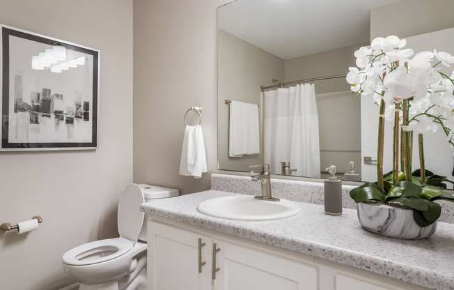 Bathroom interior at The Luxe of Southaven, Southaven
