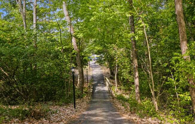 a path through the woods leading to the beach
