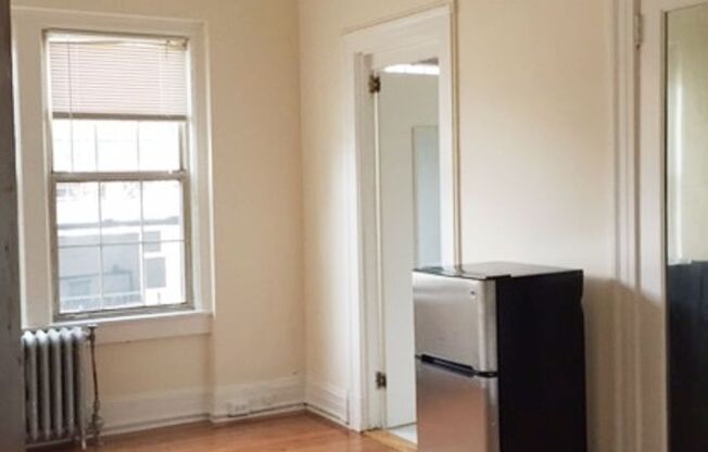 Studio, 1 bath, 240 sqft, $1,075, Unit 111A