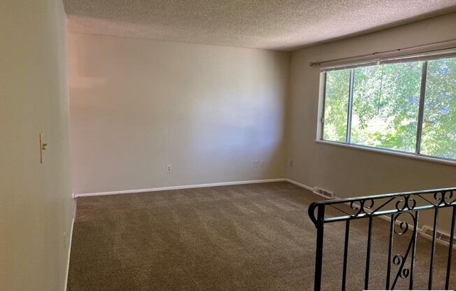 Incredible House and Yard!