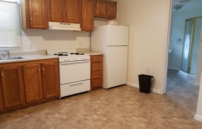 1 bed, 1 bath, $875