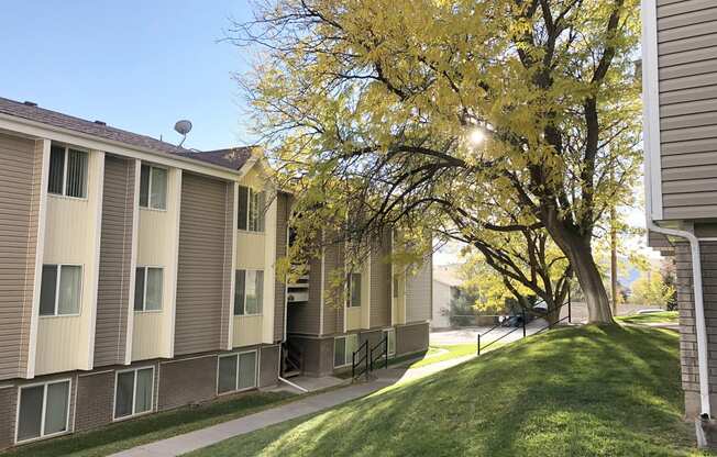 Summit Apartments exterior, paved walkway with grass hill, large tree on the right, and apartments on the left.at Summit, Pocatello, 83201