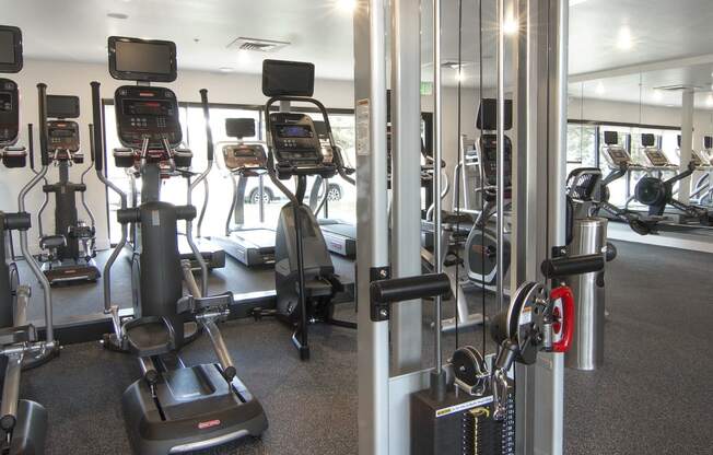 a group of exercise machines in a gym