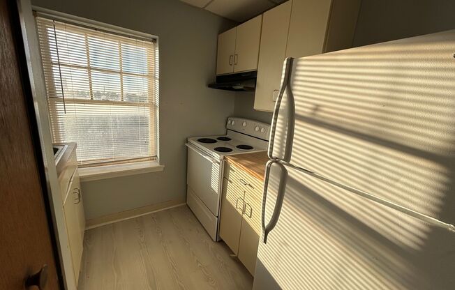 1 bed, 1 bath, 600 sqft, $550, Unit 404