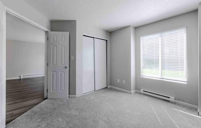 A room with a white door, a window with blinds, and a grey carpet.