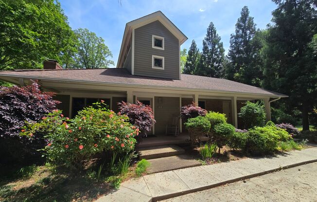 Design and Uniquity Radiate in this Central Raleigh Home