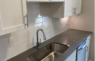 Deep Sink with Goose Neck Faucet