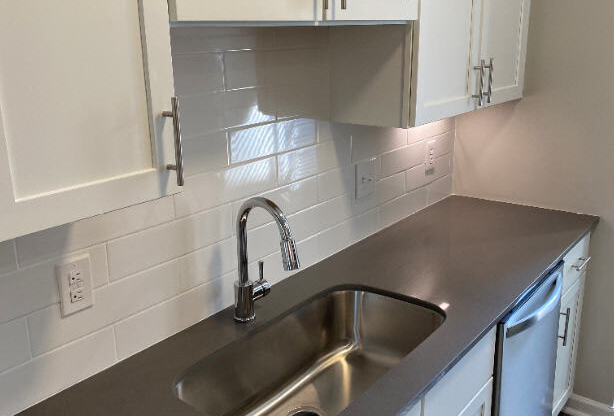 Deep Sink with Goose Neck Faucet