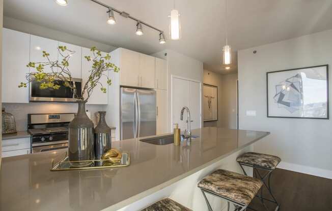 The Elle Apartments in South Loop Chicago