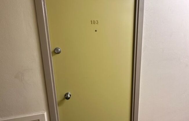 Studio, 1 bath, 368 sqft, $1,179, Unit 103A