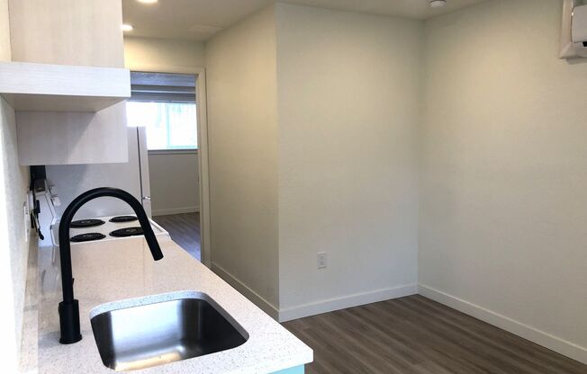 Studio, 1 bath, 450 sqft, $1,175, Unit 101