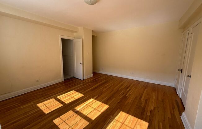 Studio, 1 bath, 294 sqft, $1,365, Unit New King Edward  3A3