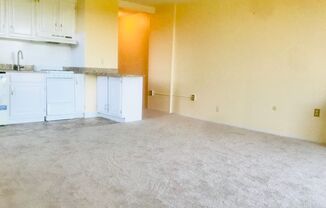 1 bed, 1 bath, $1,595