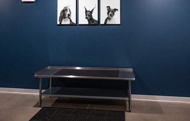 State-of-the-art exterior property amenities including resort-style pool, bocce ball court, pickleball court and much more at Fireside at Waukee, in Waukee, IA