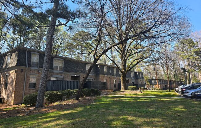 Chateau Montagne Apartments