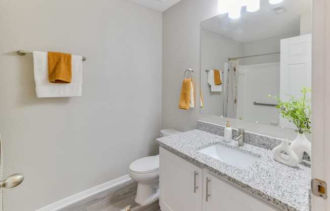 a bathroom with a sink and a toilet and a mirror at Twenty35 at Timothy Woods, Georgia