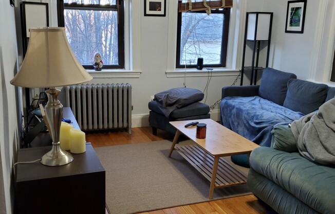 189 Chestnut Hill Ave Apt 16
