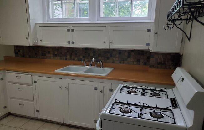 One Bedroom Apartment in the Heart of Downtown