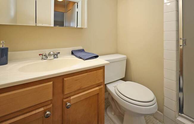 2 Bedroom 2 Bath Model Suite Master Bathroom at Harbor Crest Apartments in Euclid OH