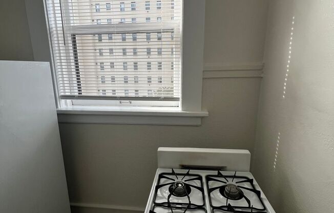 Studio, 1 bath, 380 sqft, $1,225, Unit 412