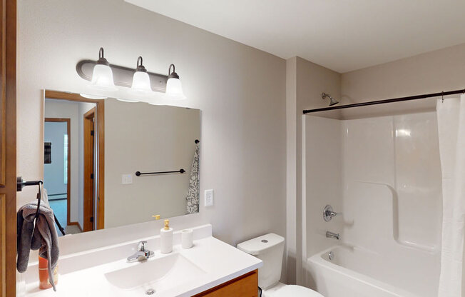 a bathroom with a sink and a shower and a mirror