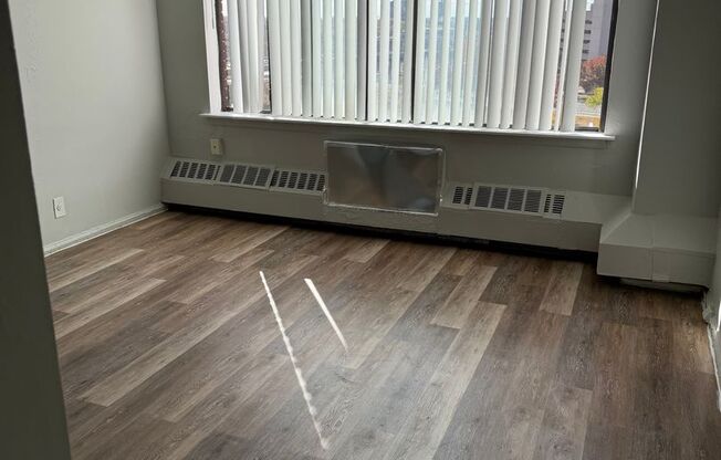 1 bed, 1 bath, 430 sqft, $1,400, Unit 730