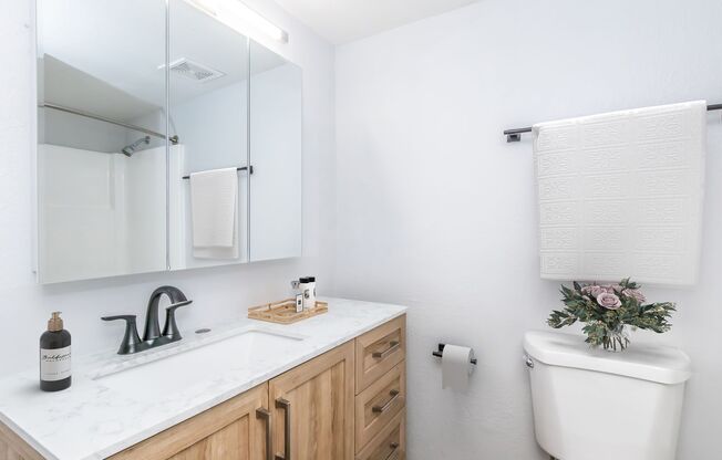Studio, 1 bath, 464 sqft, $1,200, Unit 134