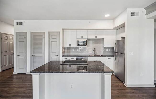 luxury kitchen at Berkshire Aspen Grove apartments in Littleton