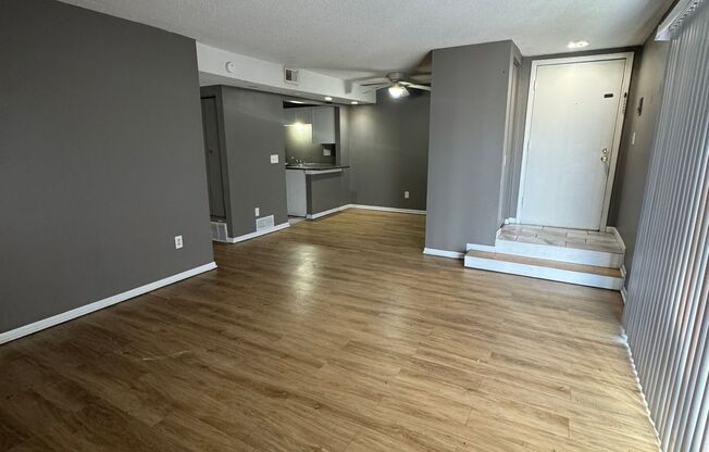 spacious 1 bedroom