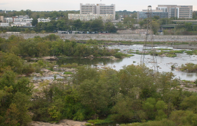 1 bed, 1 bath, $1,600