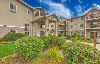 55+ Apartments in Burien, WA | Vintage at Burien