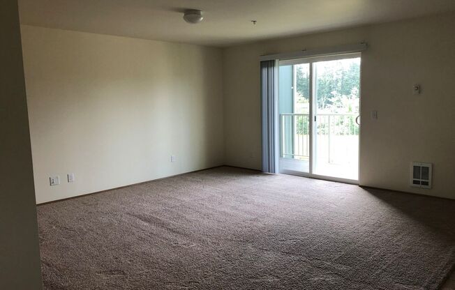 1 bed, 1 bath, 678 sqft, $1,425, Unit 21-302