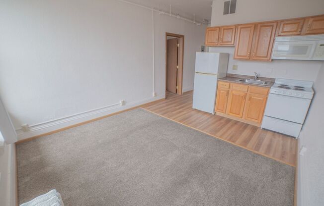 1 bed, 1 bath, 385 sqft, $575, Unit 501