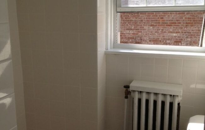 Studio, 1 bath, 308 sqft, $1,200, Unit Bayard Manor 310