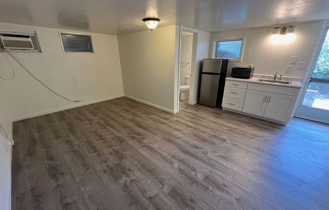 Studio, 1 bath, 300 sqft, $1,500, Unit Studio (middle)