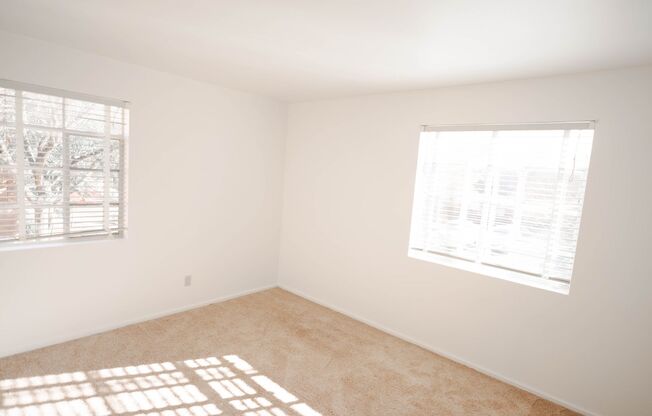 1 bed, 1 bath, 500 sqft, $800, Unit 1723-08