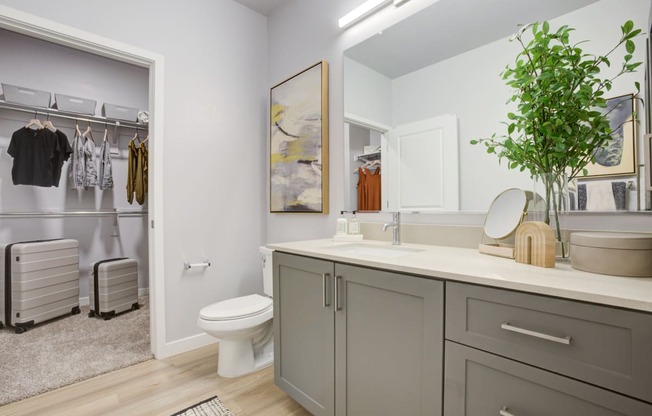 South Scottsdale Apartments - Lucent Scottsdale - Bathroom with Modern Cabinetry with Adjacent Walk-In Closet