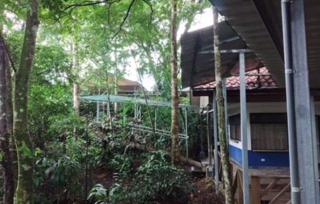 Great Opportunity Hostel for rent at SARAPIQUÍ Costa Rica. AMSI Costa Rica