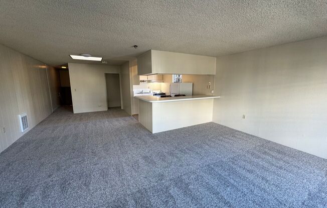 1 bed, 1 bath, 575 sqft, $2,750, Unit 207