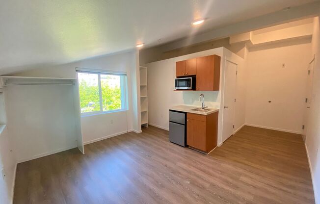 Studio, 1 bath, 175 sqft, $1,450, Unit 4511