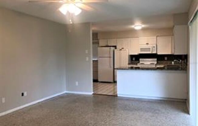 Spacious 3 Bedroom / 2 Bath Sanford Home Available Now!