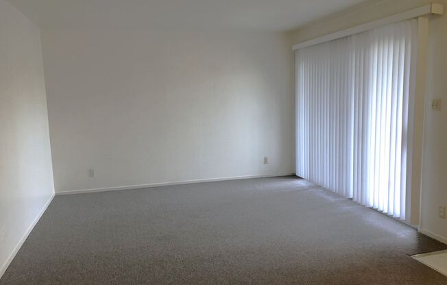COMING SOON-1 bedroom, 1 bathroom apartment in a quiet lovely South Berkeley. Less than a mile from UC Berkeley