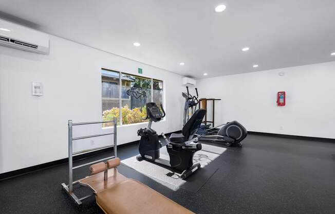 A gym with a variety of equipment including a treadmill, weights, and a bench press.
