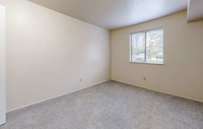 spacious bedroom with a window and plush carpeting