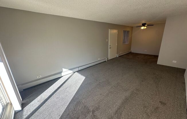 LOCATION LOCATION!! Newly remodeled 1-bedroom, Move in Ready!!! Indoor and Outdoor Pool!