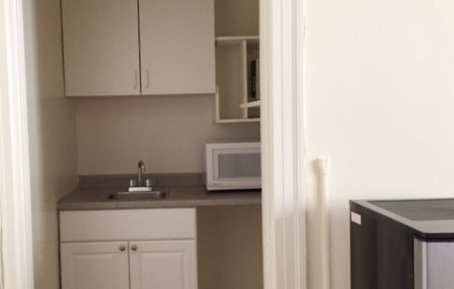 Studio, 1 bath, 270 sqft, $1,050, Unit 516